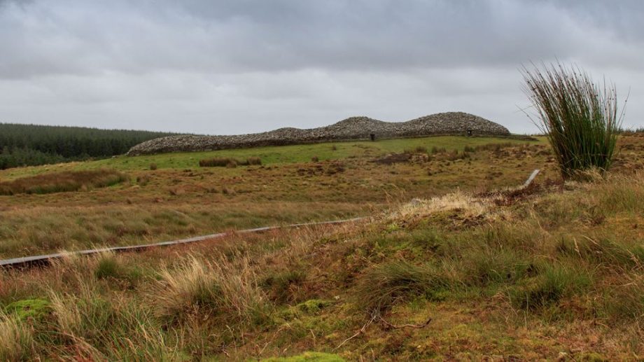 Camster Grey Cairns - Blick