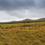 Camster Grey Cairns - The Long Cairn