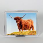 Fotomagnet Highland-Rind frontal