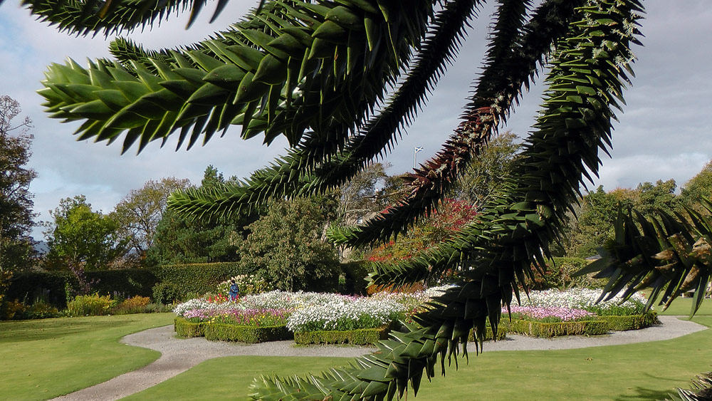 Dunvegan Garten