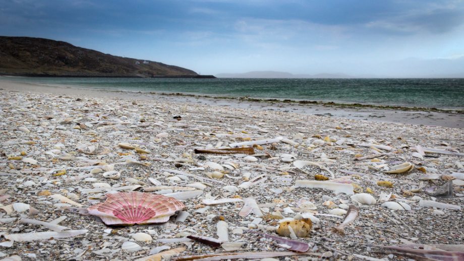 Coilleag a' Phrionnsa - Der Strand des Prinzen