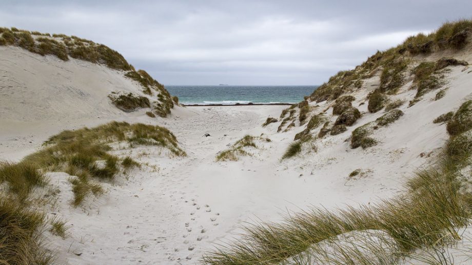 Dünen auf Berneray