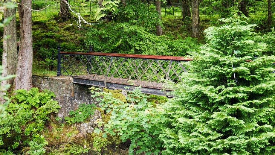 Blick auf die Brücke