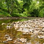 Kilmarie River, Foto: Martin Goldmann