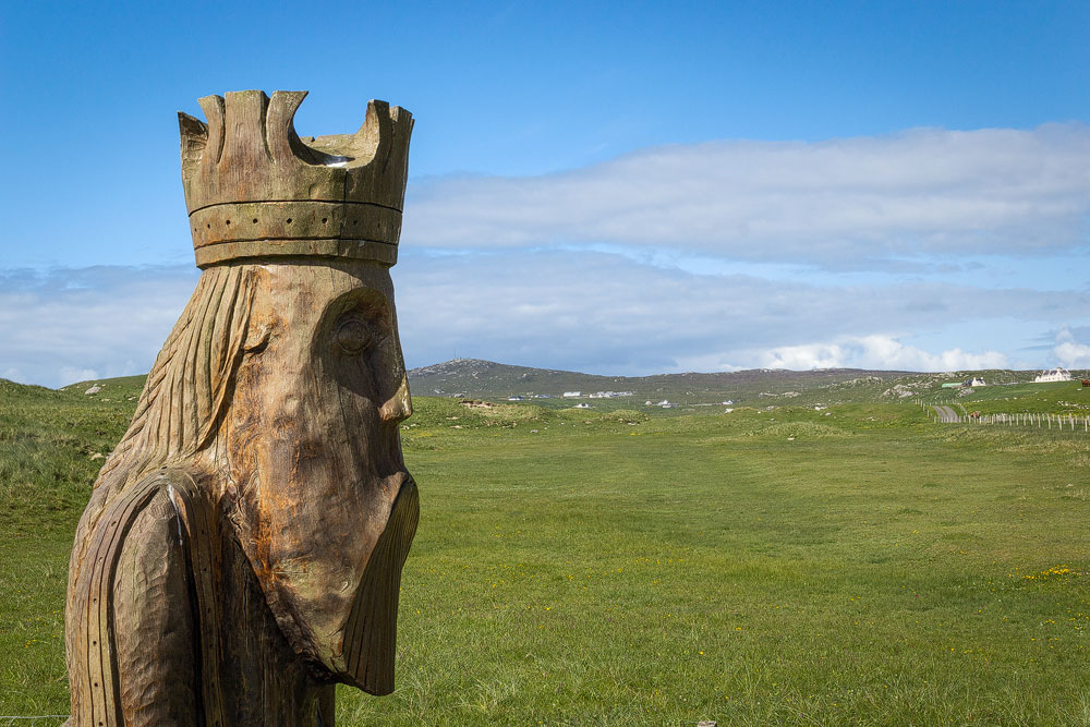 Links der große Kopf eines Schachkönigs, im Hintergrund eine weite Graslandschaft.