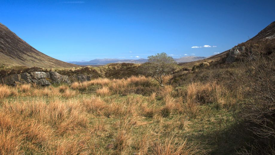 Rannoch Moor - Wildnis im Herzen Schottlands