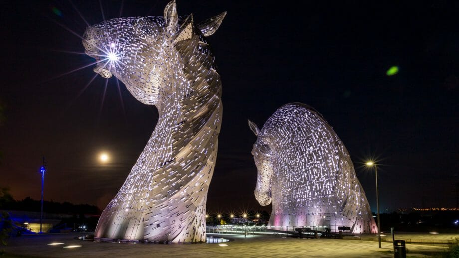 Kelpies hinten