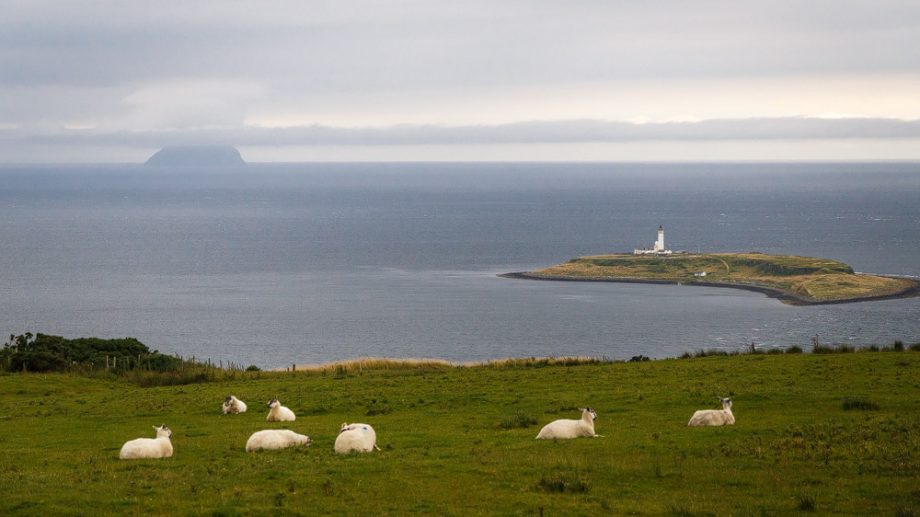 Inseln Pladda und Ailsa Craig