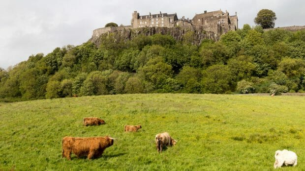 Stirling Castle Burgberg