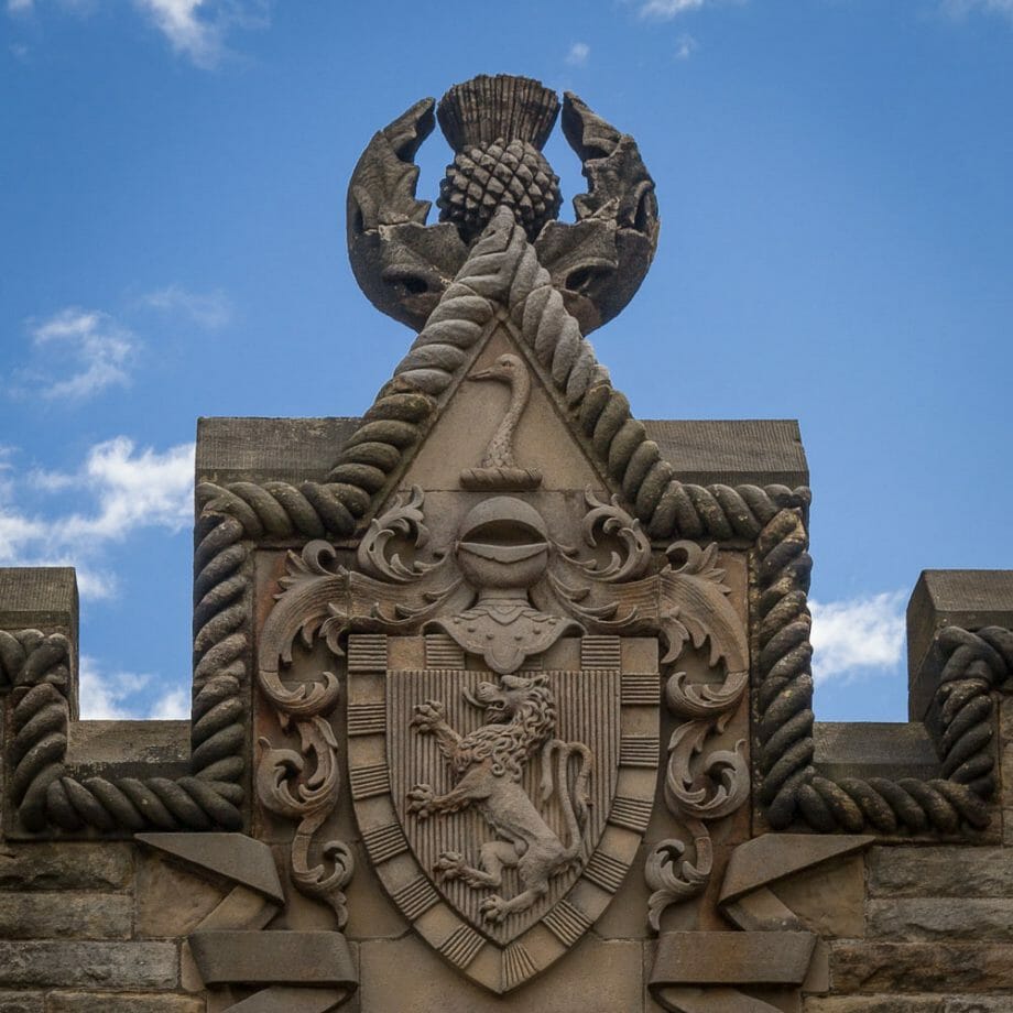 Distel auf dem Wallace-Monument