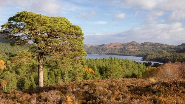 Blick auf das Loch Beinn a' Mheadhoin