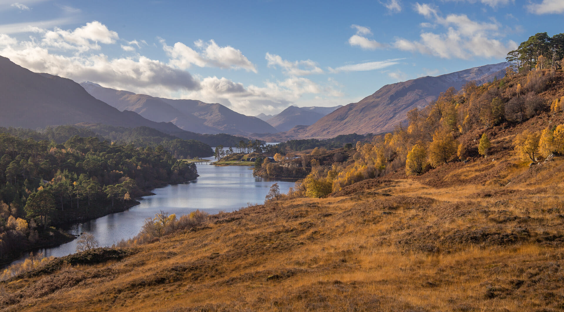 Blick vom Glen Affric Viewpoint