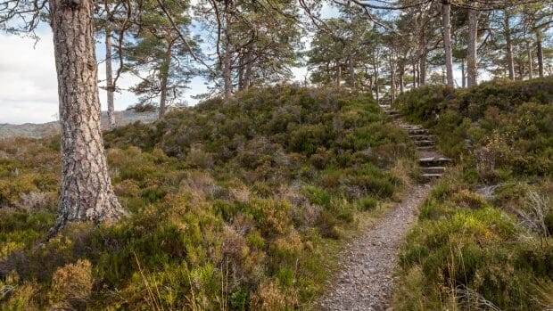 River Affric Trail