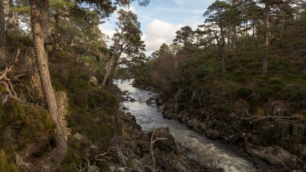 River Affric