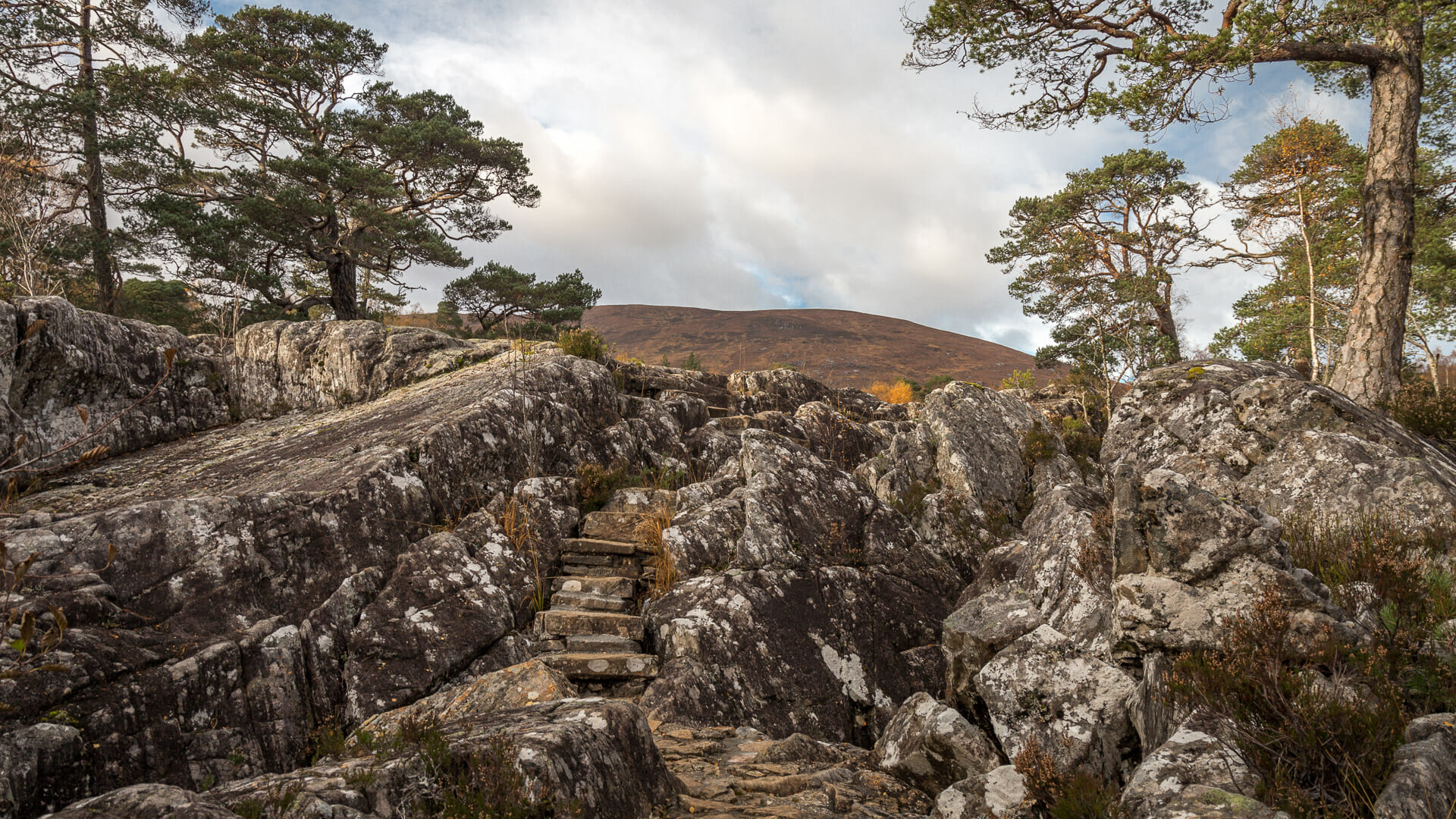 Glen Affric - wo Schottlands ursprüngliche Natur überlebt