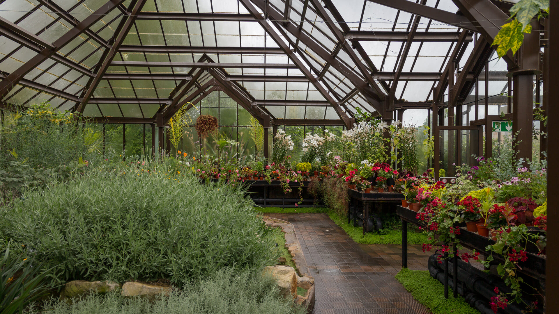 Glasgow Botanic Gardens Ein Palast Aus Glas Im Gartenparadies