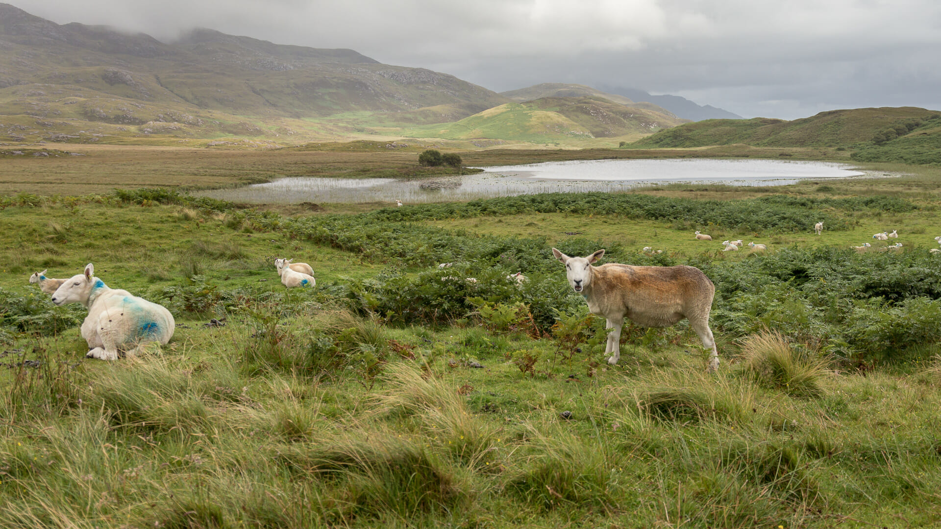 Die Ardnamurchan-Caldera von der Südseite