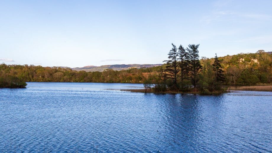 Blick auf Lochan Taynish von der Straße aus