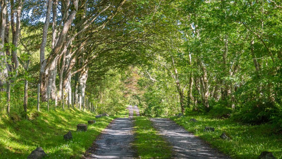 Chemin vers Kilmeny