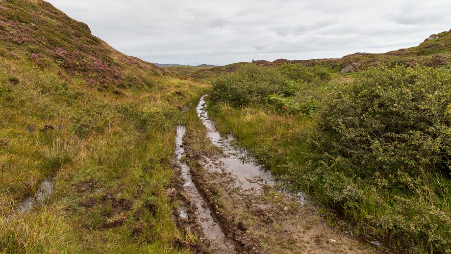 Nach schlechtem Wetter können Wanderwege sehr matschig werden