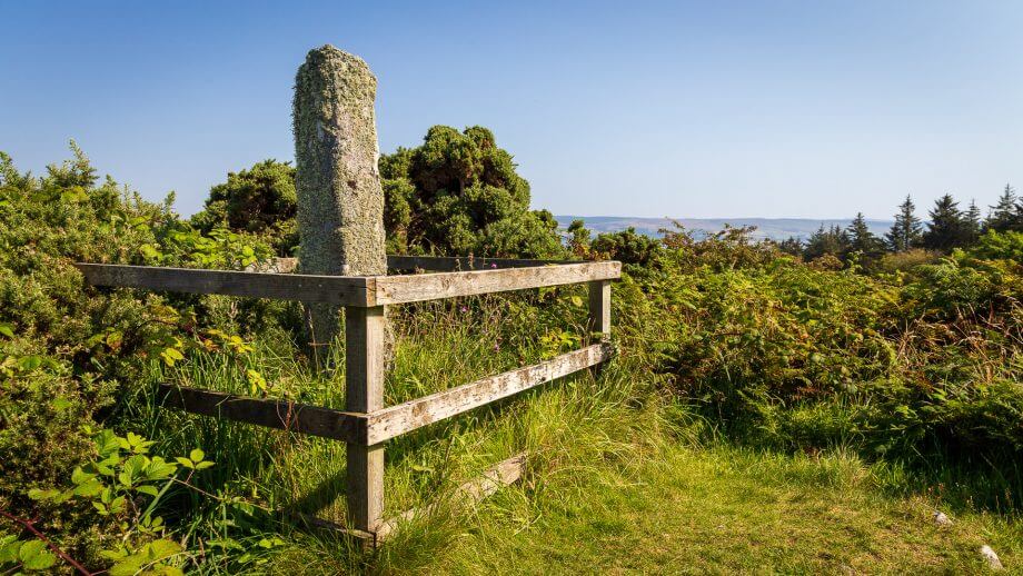 Ogham Stone