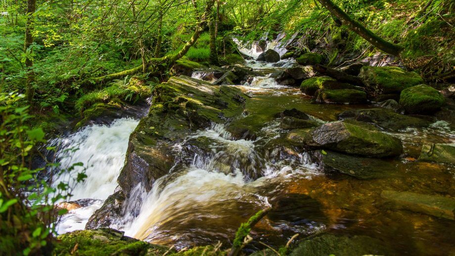 Kirkton Burn