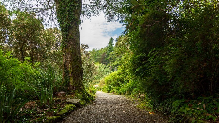 Weg durch Arduaine Garden