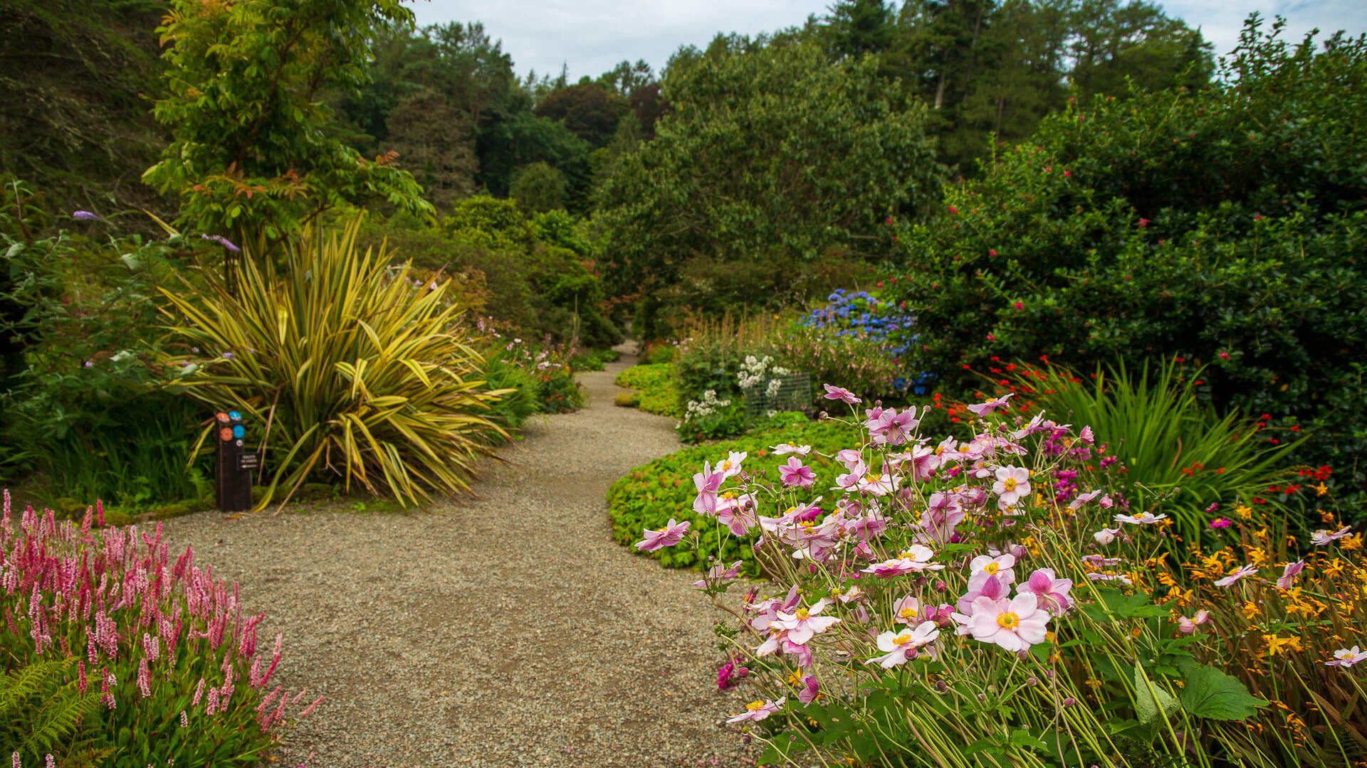 Arduaine Garden