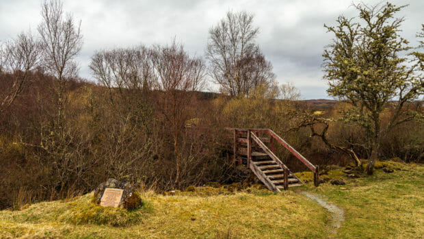 Beginning of the boardwalk onto the island