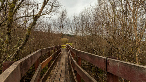 Auf dem Holzsteg