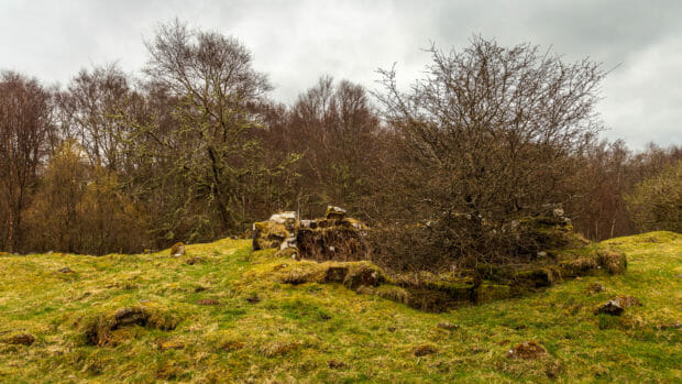 Auf der Eilean Chaluim Cille