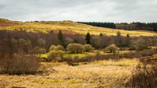 View of the Island