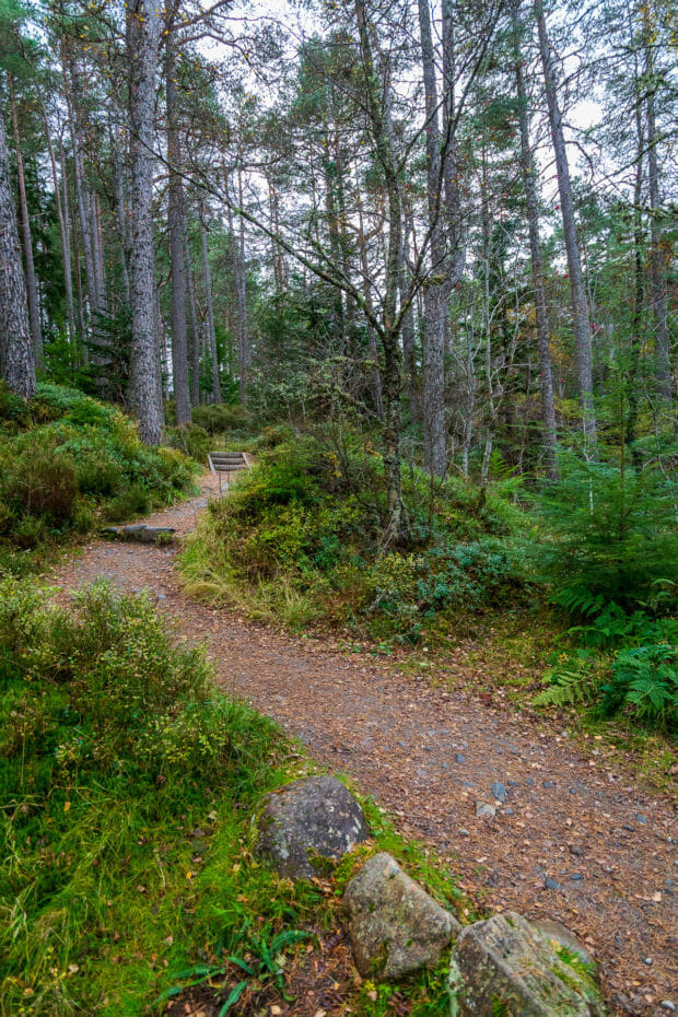 Weg zum Wasserfall