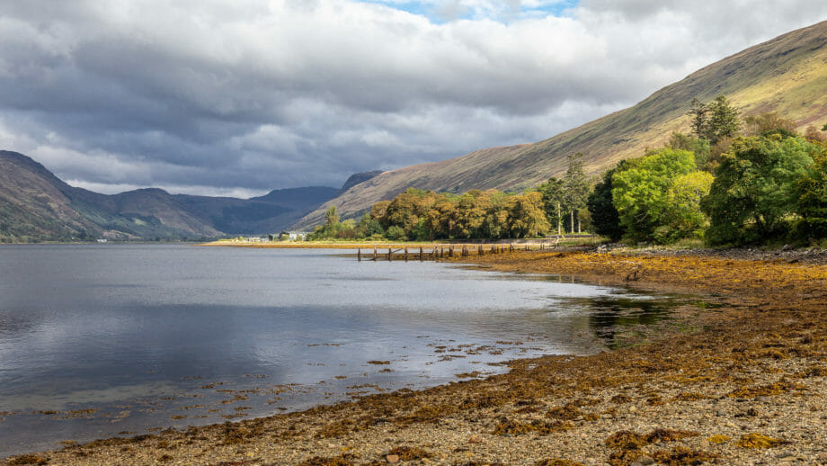 Austern gedeihen in Loch Fyne hervorragend