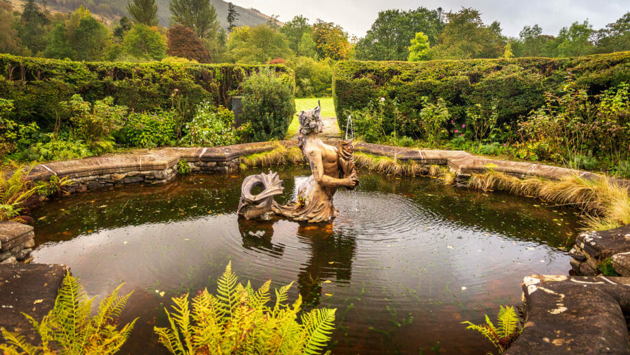 Teich im Garten beim Haus