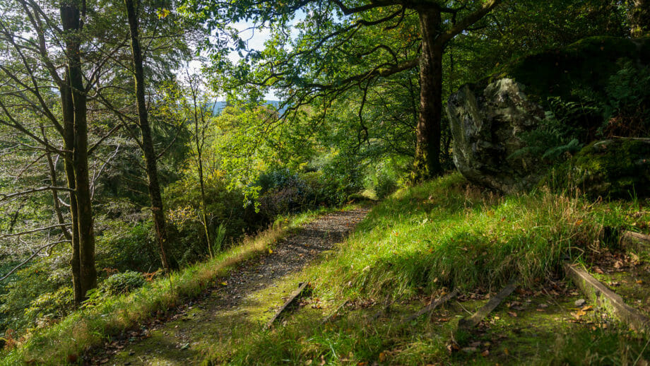 Ardkinglas Woodland Gardens