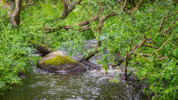 Wasserlauf beim Start der Wanderung