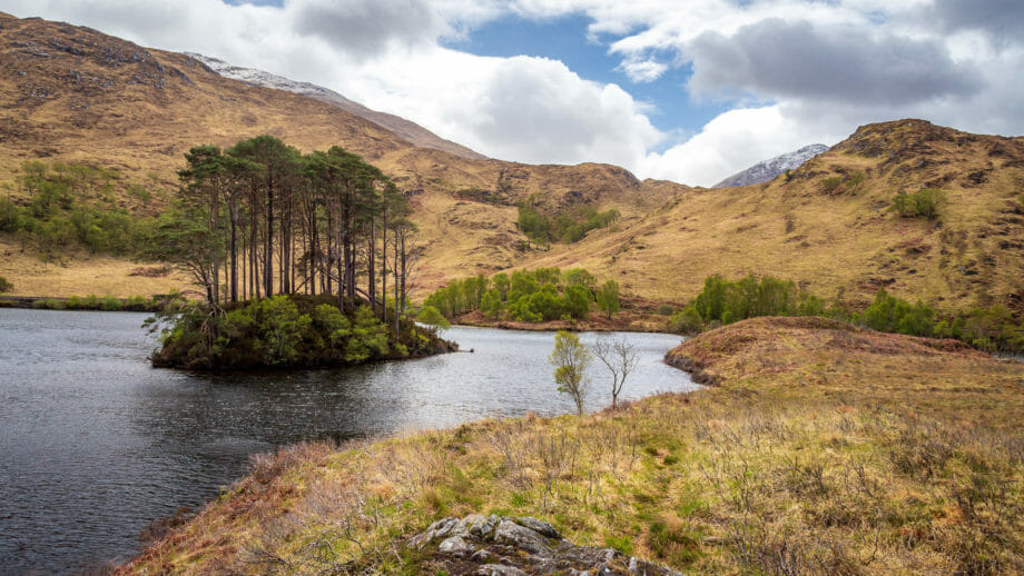 Eilean na Mòine im Loch Eilt