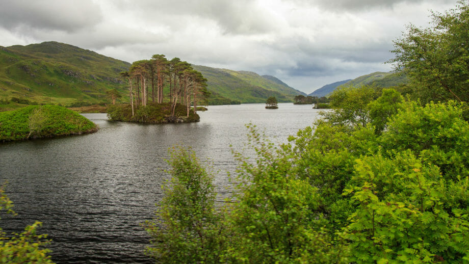 Eilean na Mòine und weitere Inseln im Loch Eilt aus dem fahrenden Jacobite Steam Train gesehen.