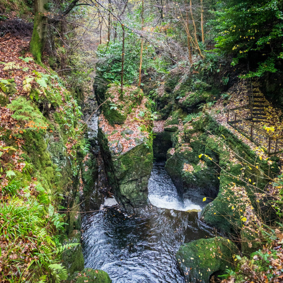 Blick von der Holzbrücke