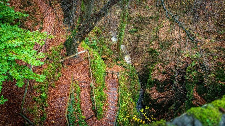 Der Pfad zur Aussichtsplattform an der Rumbling Bridge