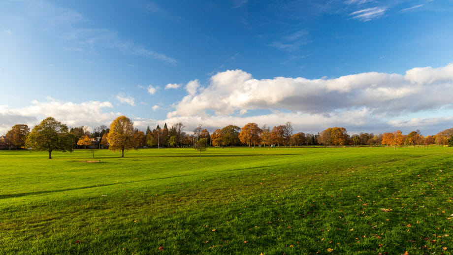 The North Inch Perth