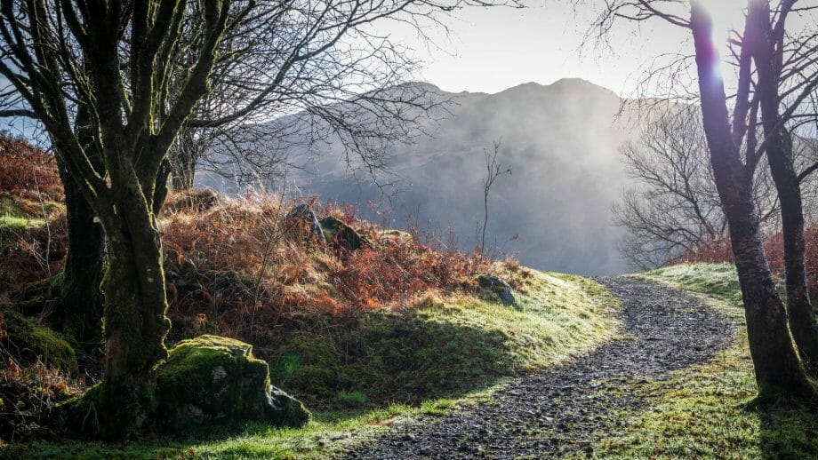 Der Weg zum Bruce’s Stone