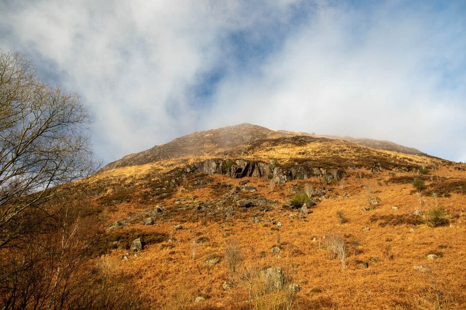 Blick auf den Buchan Hill