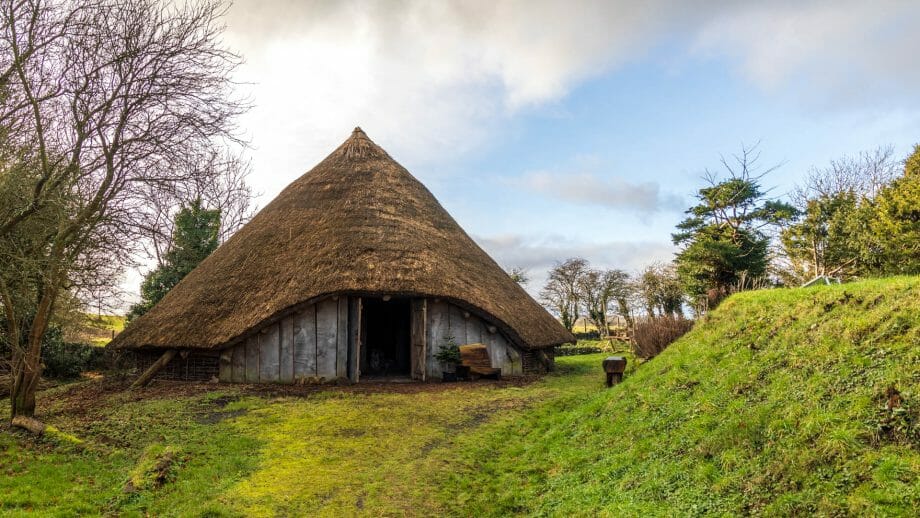 Das Whithorn Roundhouse ist ein Holzhaus mit Reetdach auf einer Wiese