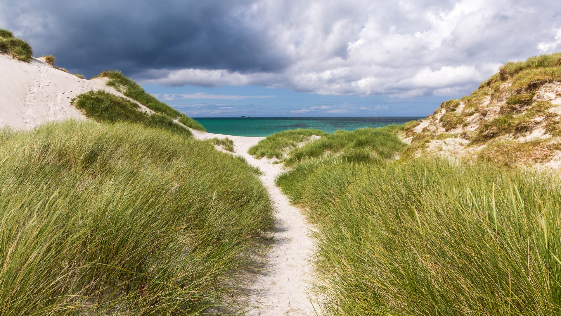 Ein Weg durch eine Sanddüne, links und rechts Schilfgras und am Horizint das Meer.