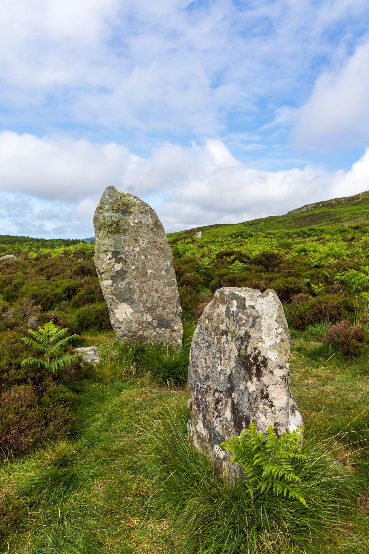 Zwei stehende Steine umgeben von einer grünen Farnlandschaft, blauer Himmel mit Wolken darüber.