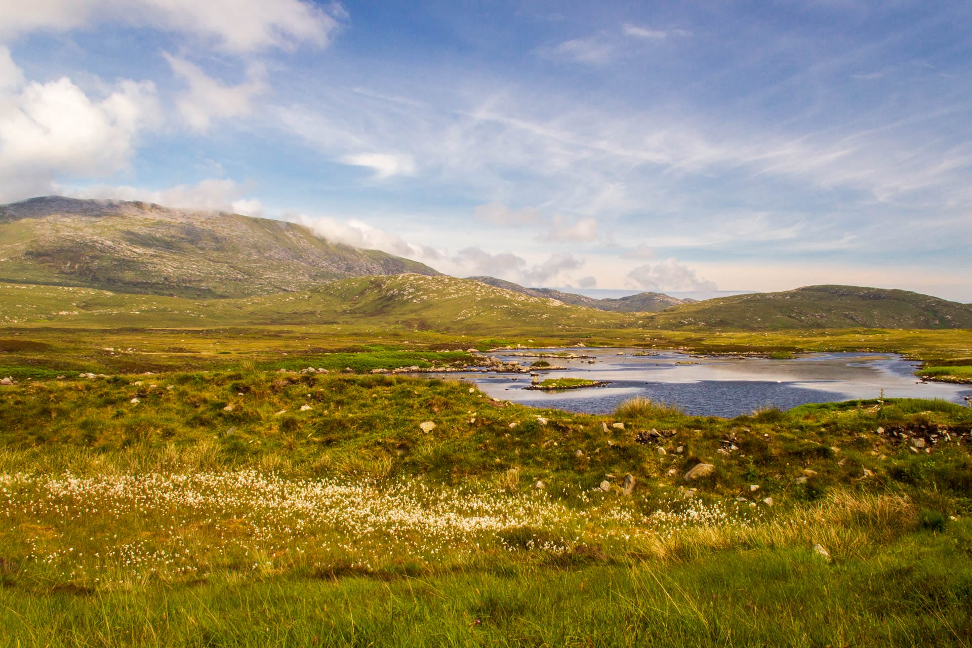 Blick in die Landschaft, vorne weißes Wollgras, dann eine blau-spiegelnder kleiner See, dahinter ein Berg.