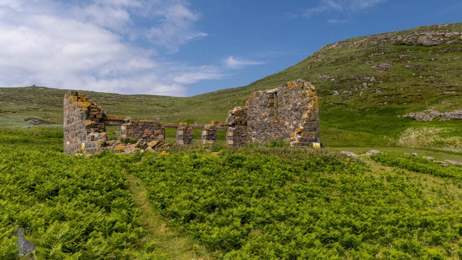 Ein verfallenes Haus inmitten einer grünen Wiese.