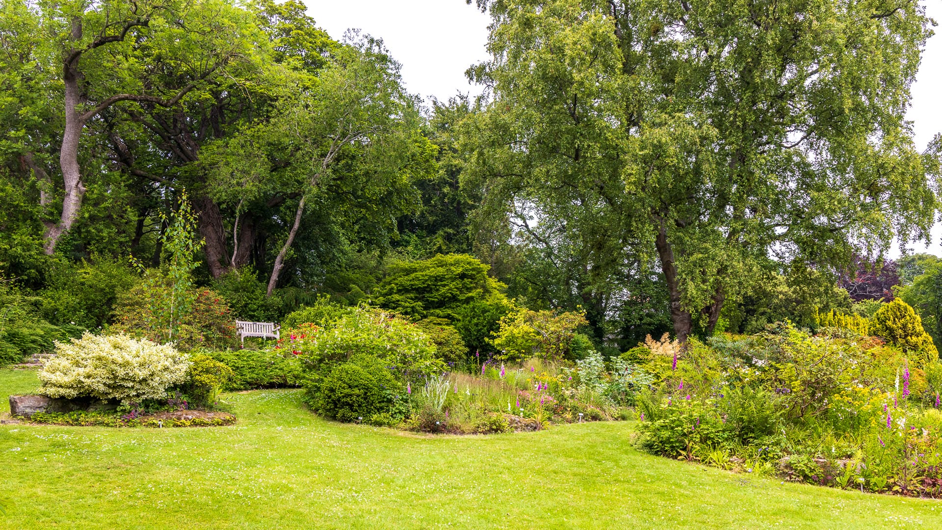 Cruickshank Botanic Gardens ist ein grüner Garten mit Bäumen und Pflanzflächen.